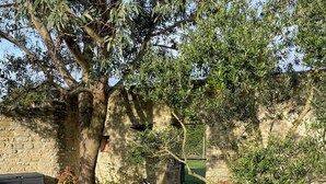 Ein Garten mit Korbmöbeln, einer Hängematte und einer Steinmauer.