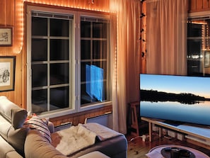 Televisor 