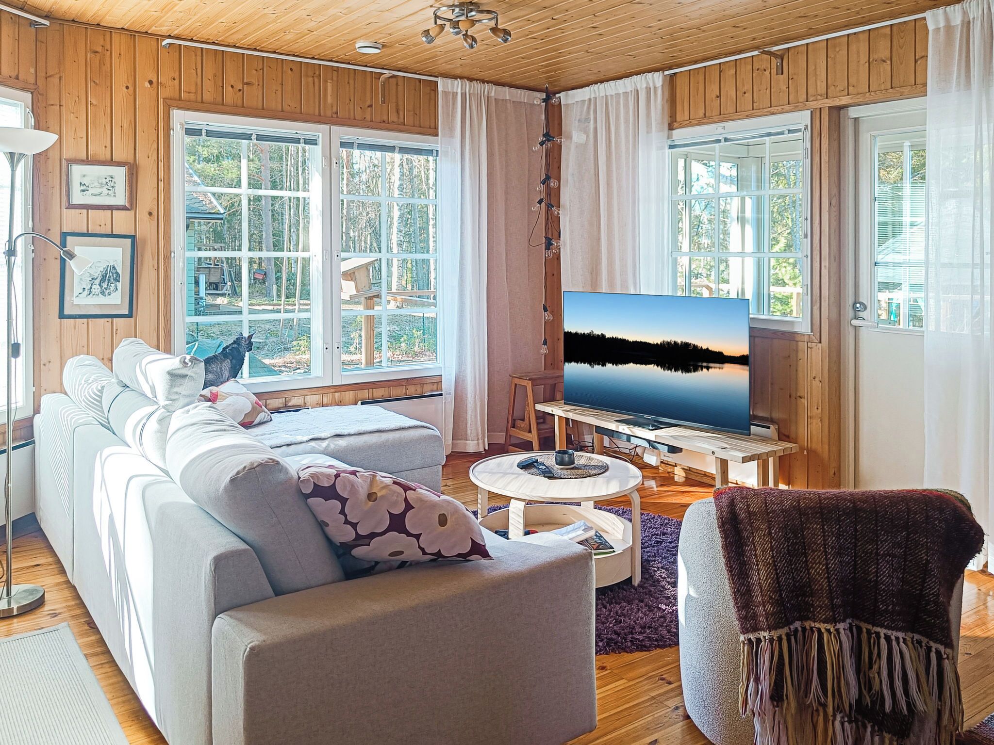 TV