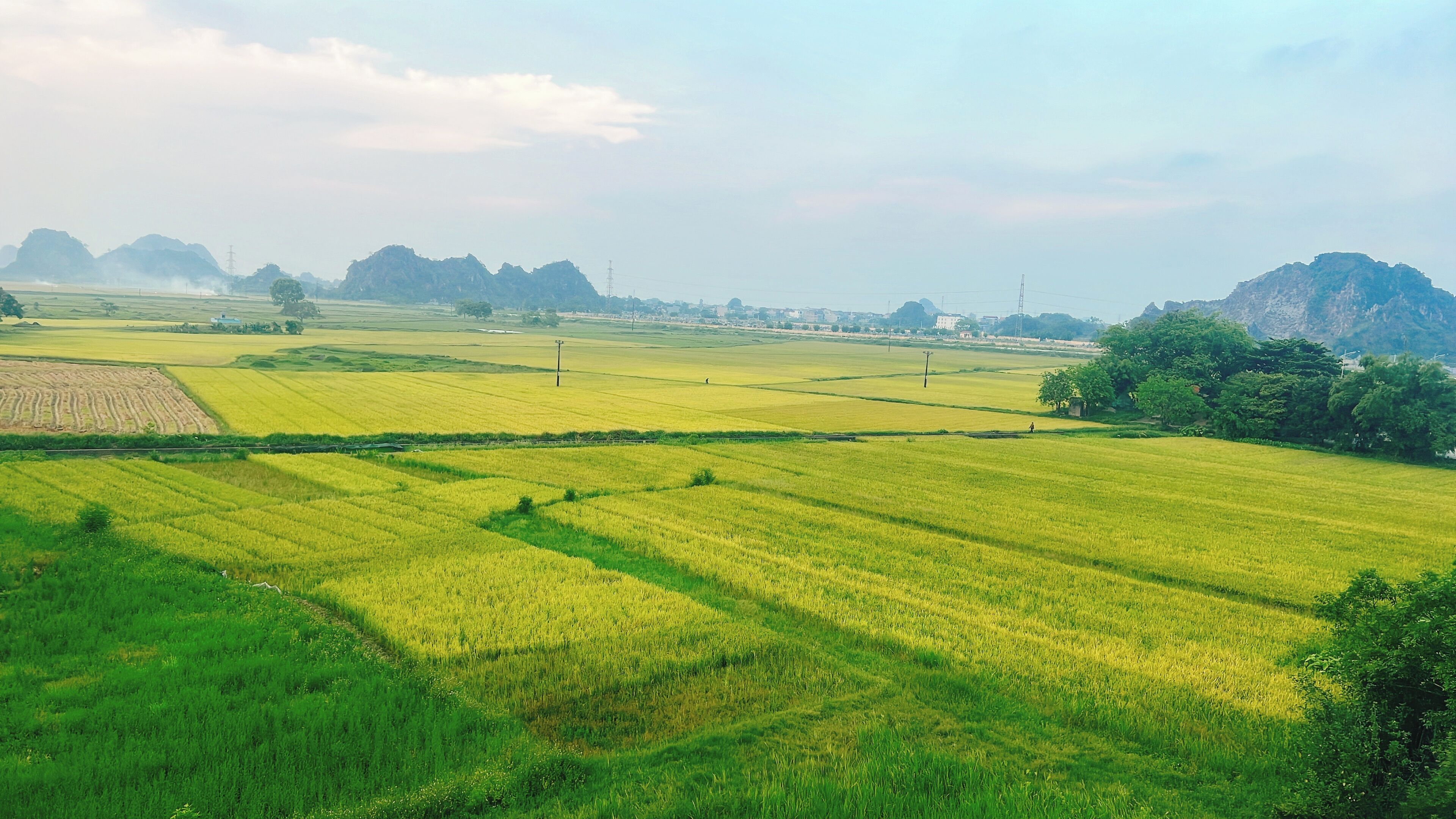 A rural landscape with fields and distant mountains.