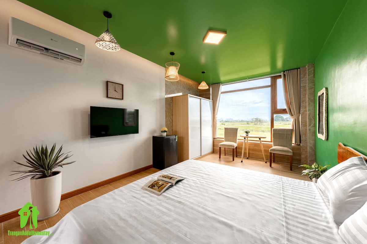 Een moderne hotelkamer met een groot bed, een flatscreen televisie, een potplant en uitzicht op het buiten.