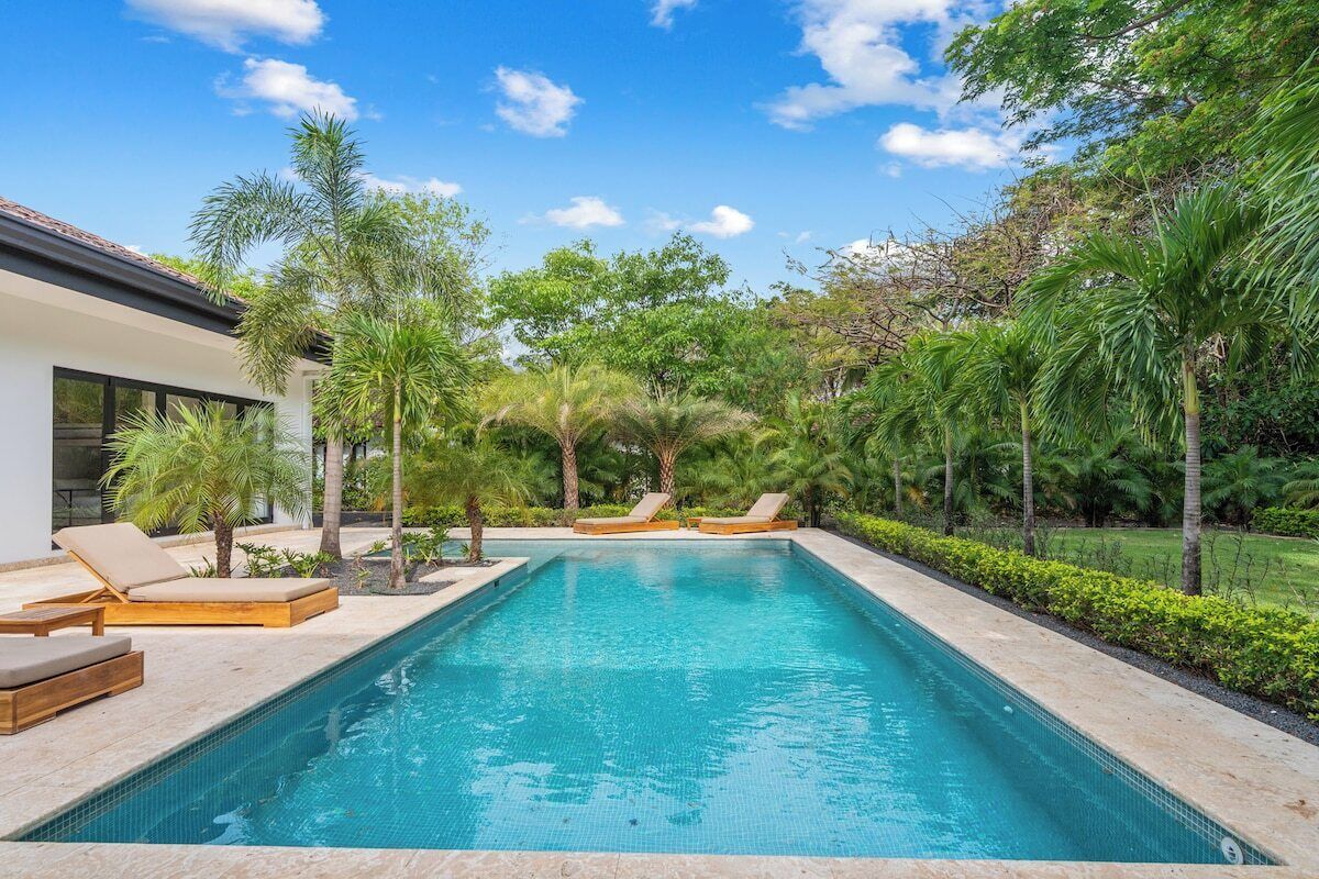 Una piscina rectangular con sillas de descanso y palmeras.