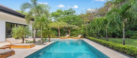 Una piscina rectangular con sillas de descanso y palmeras.