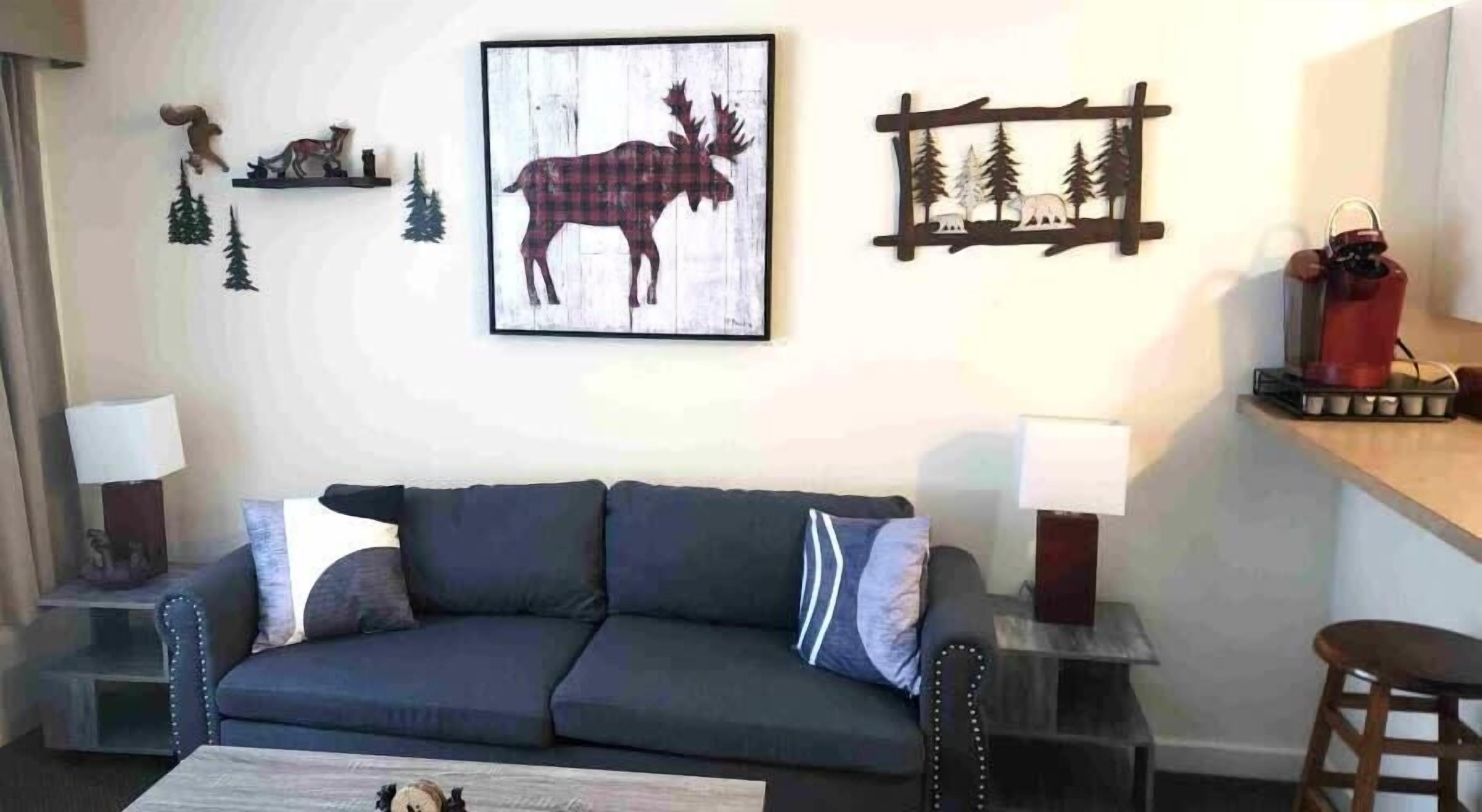 TV, DVD-spiller og bøker