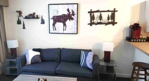 Televisio, DVD-soitin, kirjoja