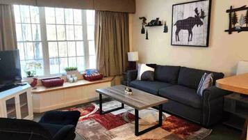 TV, DVD player, books