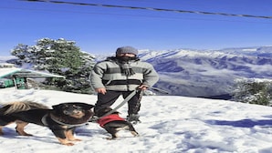 Una persona con un cane su una montagna innevata, che tiene dei bastoncini da sci.