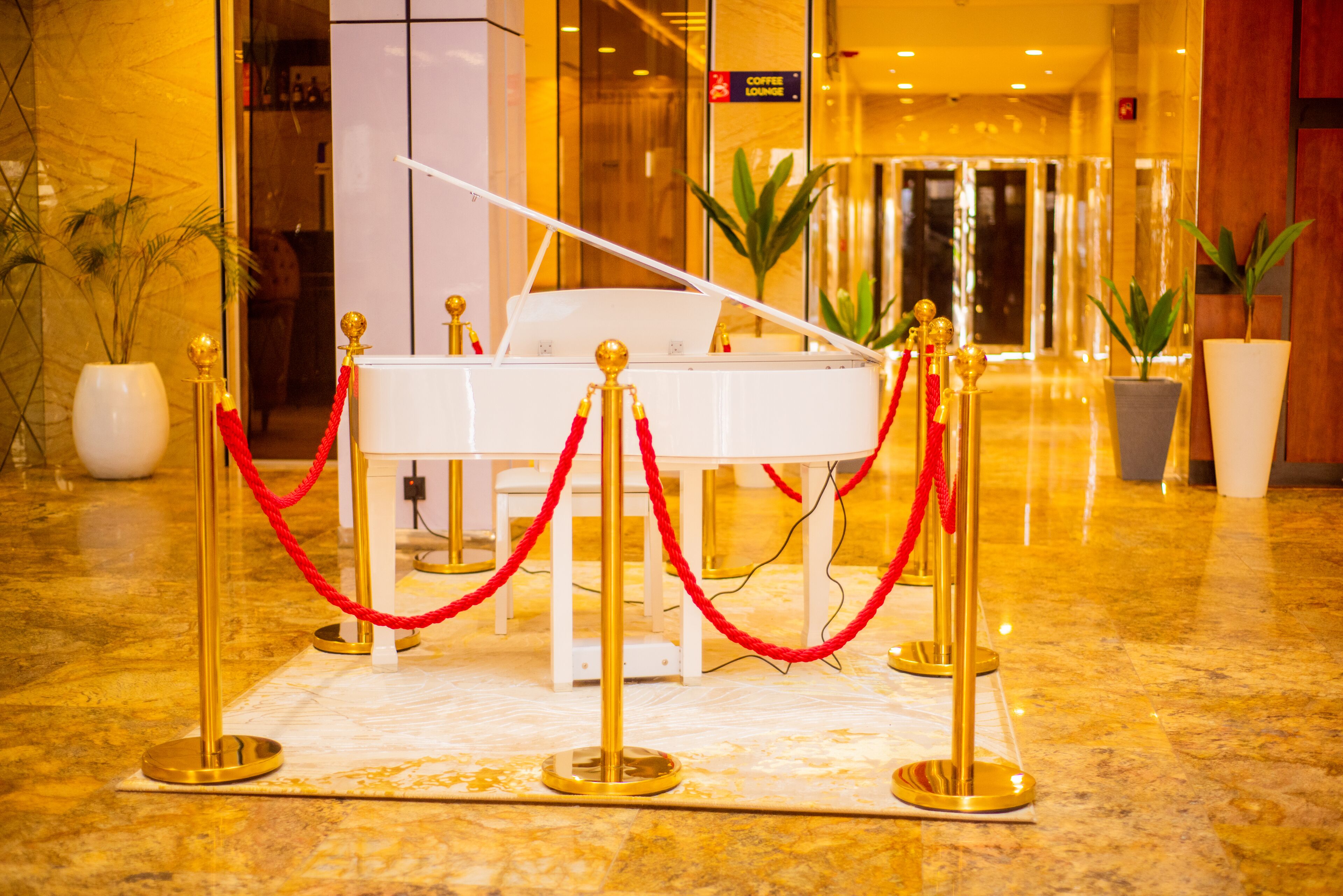 A grand piano surrounded by golden stanchions and red ropes, indicating a special event or performance area in a luxurious lobby with marble flooring and potted plants.