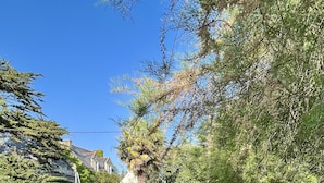Un jardin avec un chemin de gravier, une voiture noire et du mobilier d’extérieur.