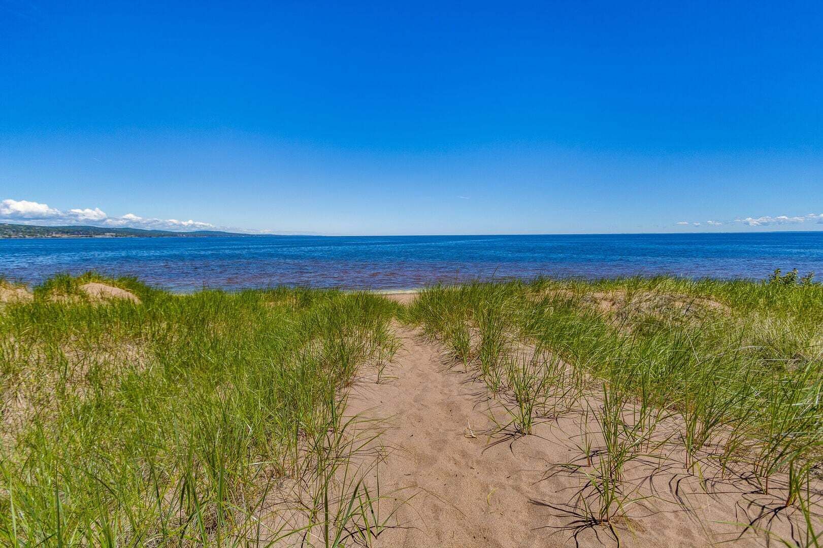 Une plage de sable avec de l’herbe verte au premier plan et un ciel bleu dégagé.