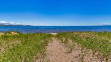 Une plage de sable avec de l’herbe verte au premier plan et un ciel bleu dégagé.