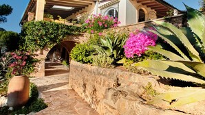 Une villa de style méditerranéen, avec un chemin de pierre menant à une entrée en arc de cercle, entourée d’une végétation luxuriante et de plantes en fleurs.