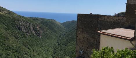 Vista desde la propiedad