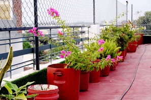 Terrace/patio - Patiala inn (Patiala)