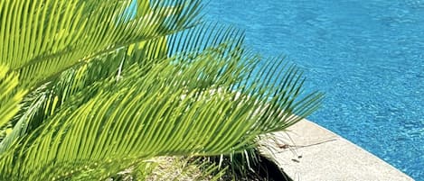 泳池