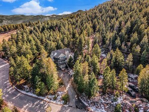 Una casa rodeada de un bosque frondoso, con un camino despejado que lleva hacia ella.
