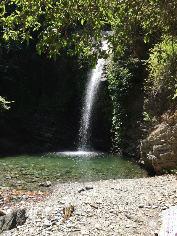 A waterfall cascading into a clear pool surrounded by rocky terrain and dense foliage.