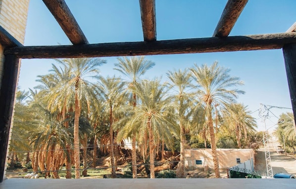 Property grounds - Is a haven on earth in the heart of the oasis around a thousand palm trees... (Dgueche)