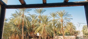 Is a haven on earth in the heart of the oasis around a thousand palm trees... 