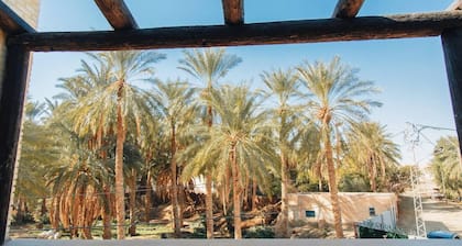 Is a haven on earth in the heart of the oasis around a thousand palm trees...