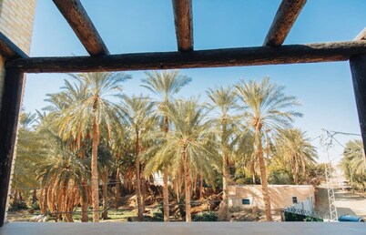 Is a haven on earth in the heart of the oasis around a thousand palm trees... 