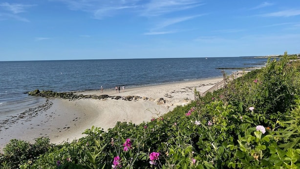 Ein Strand mit blauem Himmel, felsiger Küste und üppiger Vegetation.