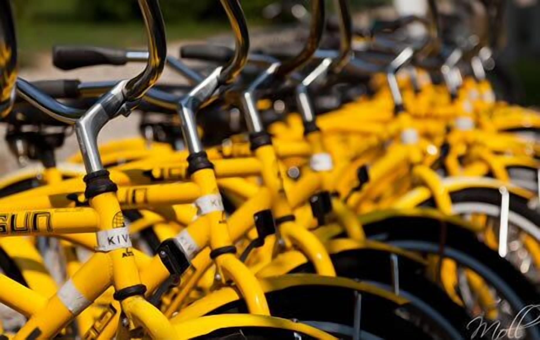 Una fila de bicicletas amarillas con marcas visibles de la marca y un manillar de metal.