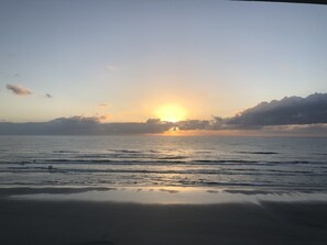 Tumbonas y toallas de playa