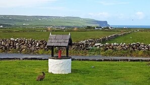 A grassy area with a stone wall, a small structure, and a view of the sea and hills in the background. - Cozy semi detached cottage 5 mins drive from Doolin. Cliffs of Moher views! (Doolin)