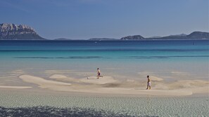 Beach - Modern apartment 180 mt from the Third Beach in Golfo Aranci - Sardinia (Golfo Aranci)