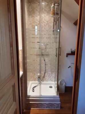 Dusche, Haartrockner, Handtücher, Seife
