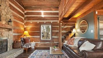 TV, fireplace, books
