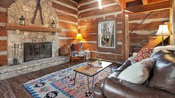 TV, fireplace, books