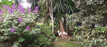 Quinta das Rãs - Amplo Espaço, Calmo, Adequado a Familias com Crianças