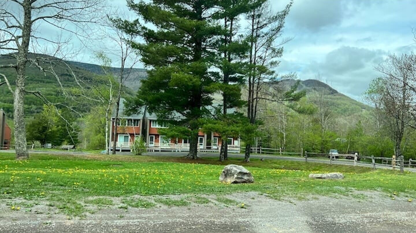 A building with a red roof, surrounded by a grassy area with yellow flowers and a large tree.