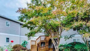 Un immeuble résidentiel doté d’une terrasse en bois, d’un arbre et d’un jardin fleuri.
