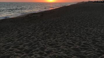 Sun loungers, beach towels