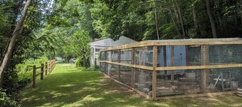 Hill Top Cottage with Chickens!