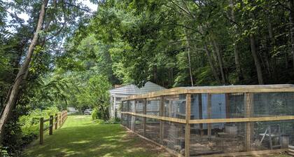 Hill Top Cottage with Chickens!