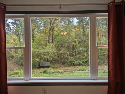 Hill Top Cottage with Chickens!