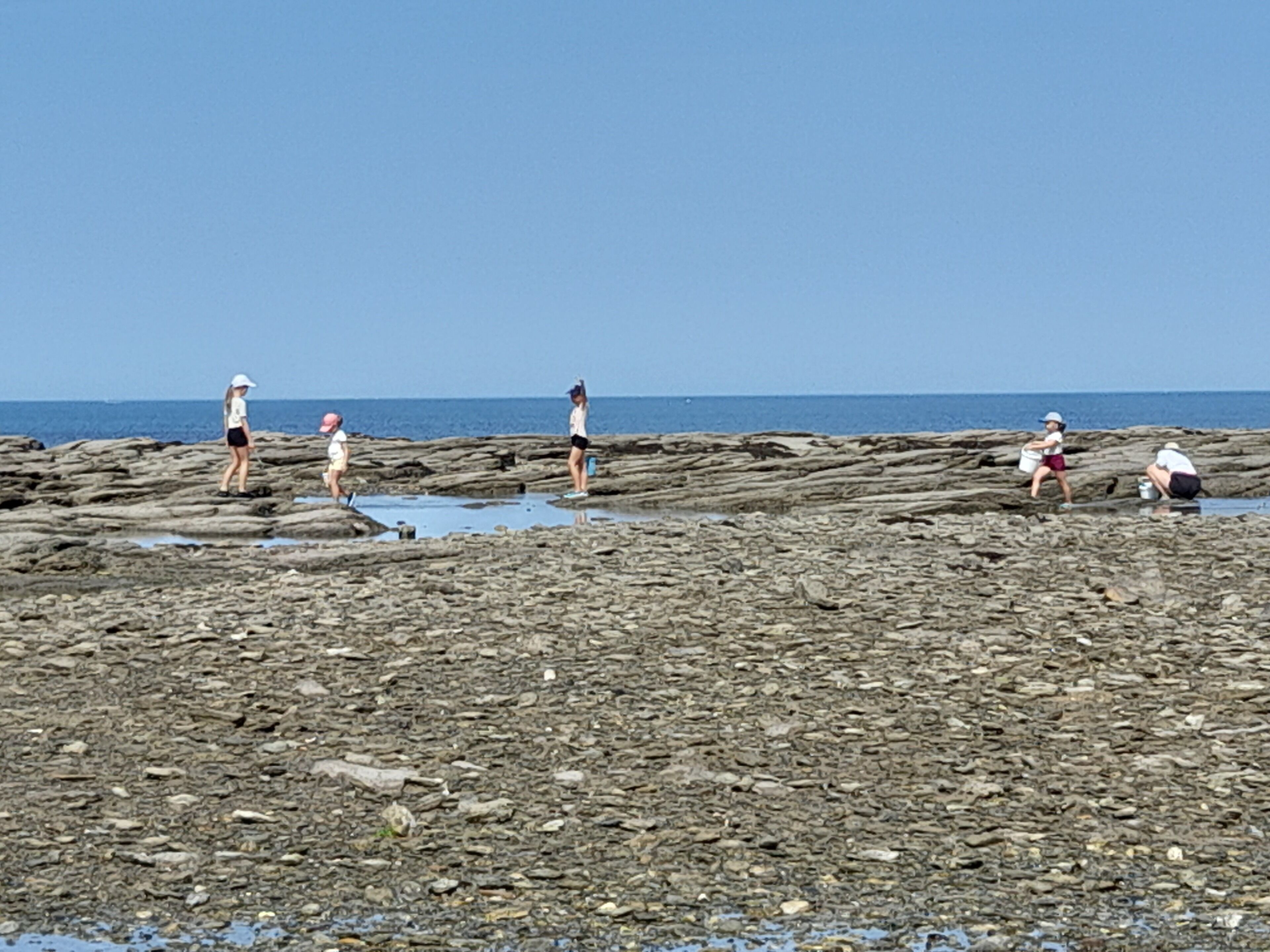 A rocky beach with people engaging in various activities.