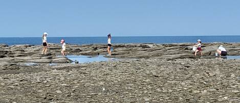 A rocky beach with people engaging in various activities.