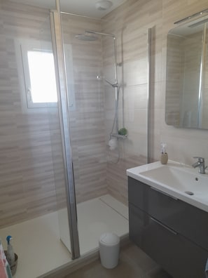 Shower, hair dryer, toilet paper