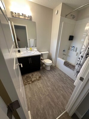 Hair dryer, towels, soap, toilet paper