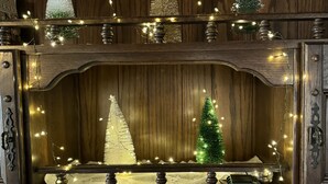 A wooden cabinet with multiple shelves, each holding a Christmas tree and string lights.