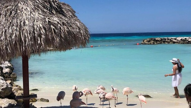 Une plage avec un parasol en chaume, une eau turquoise cristalline et des flamants roses.