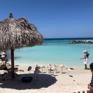 Playa en los alrededores 