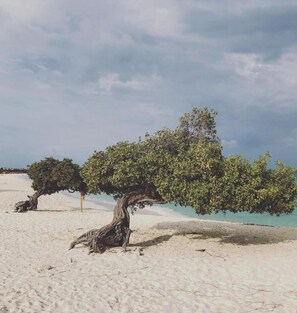 Una spiaggia nelle vicinanze