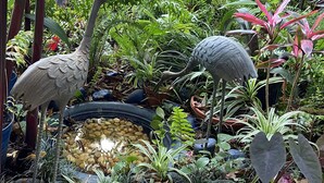 Ein Garten mit Vogelstatuen, einem Teich und verschiedenen Pflanzen.