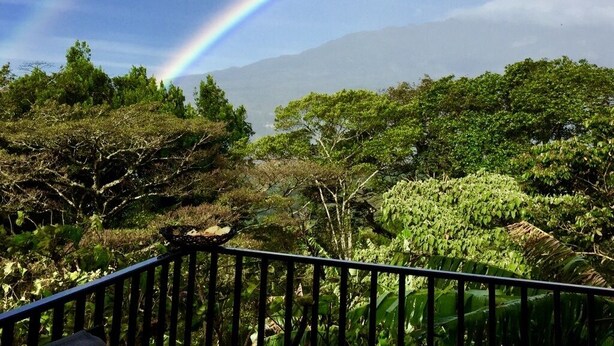 Üppige Landschaft mit einem Regenbogen über einer Bergkulisse.